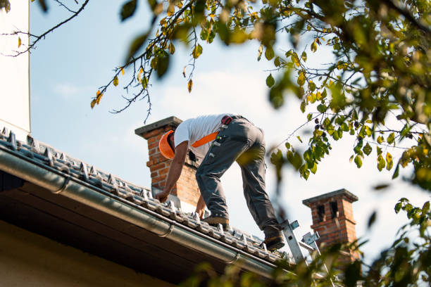 Best Roof Maintenance Services  in Bernice, LA